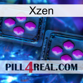Xzen 03
